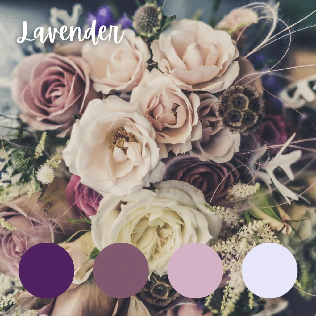 lavender tones 